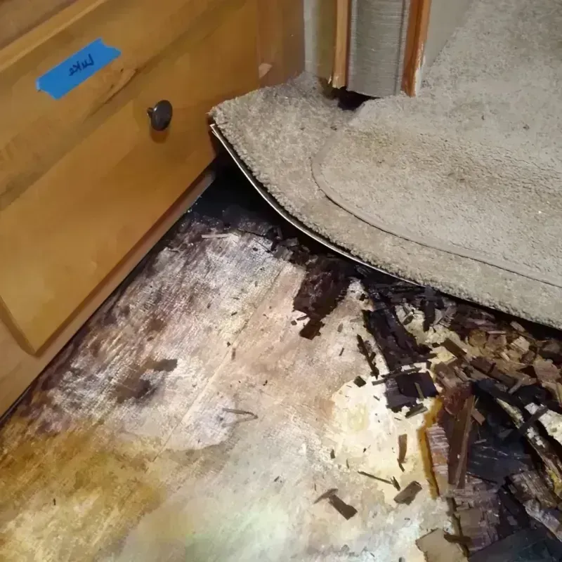 Wood Floor Water Damage in Davie, FL